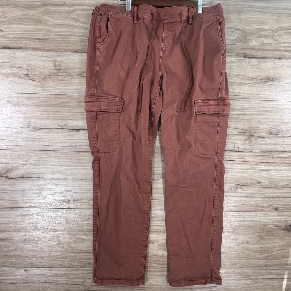 Torrid Women 2R Terracotta Brown Cargo Pants Elastic Waist Drawstring 40840685